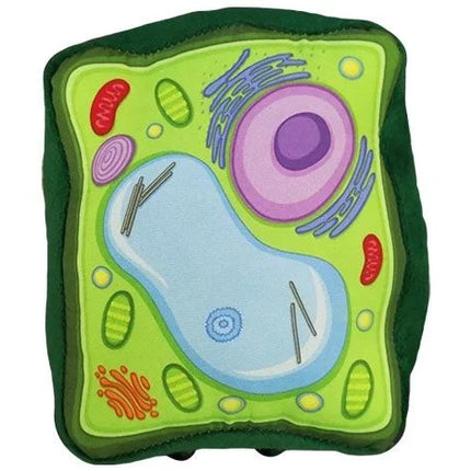Plant Cell- Top View