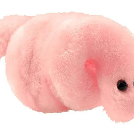 Pox- Syphilis- Front View