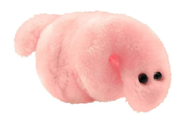 Pox- Syphilis- Front View