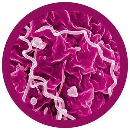 Microbial Pox