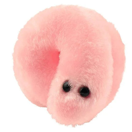 Pox- Syphilis- Face View
