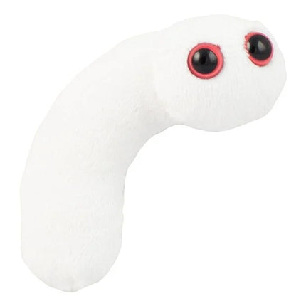 Pus- Front View