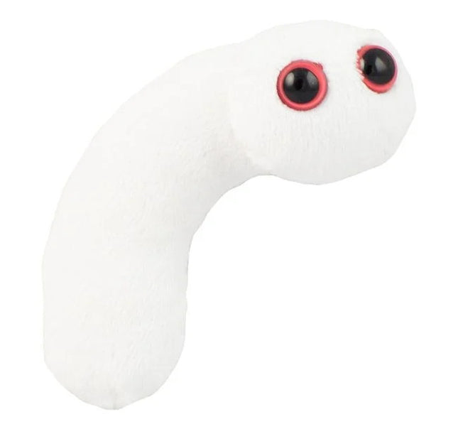 Pus- Front View