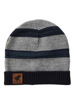 Harry Potter- Ravenclaw Heathered Knit Beanie