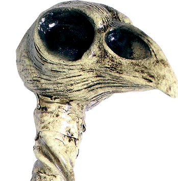 Crow Staff- close up 