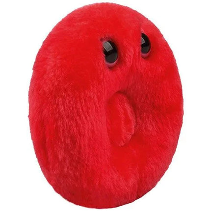 Red Blood Cell- Right View