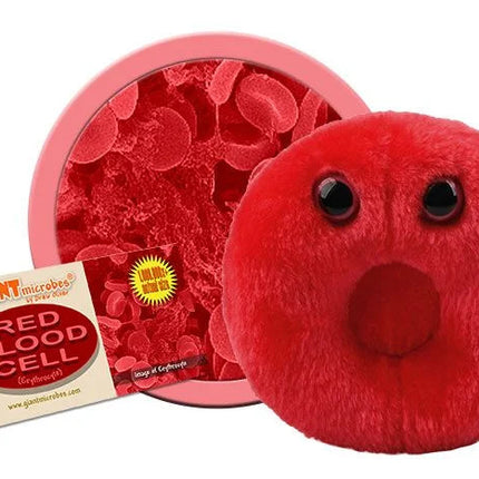 Red Blood Cell- With Informational Tag