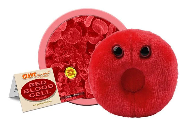 Red Blood Cell- With Informational Tag