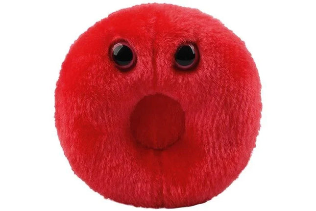Red Blood Cell- Front View