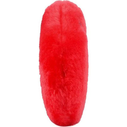 Red Blood Cell- Side View