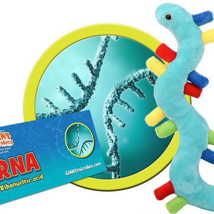 RNA- With Informational Tag