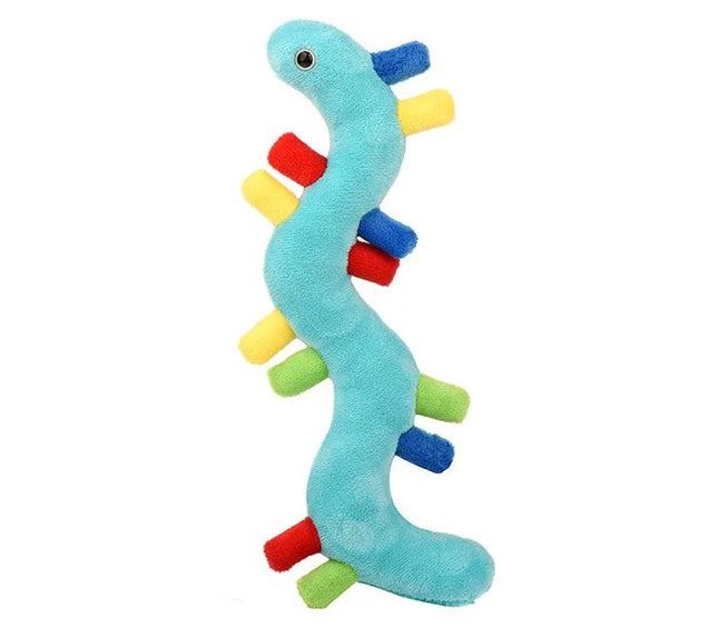 RNA- Front View