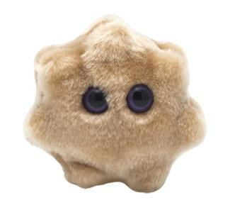 Rotavirus Plushie