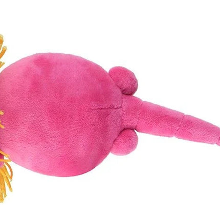 Plankton (Rotifer)- bottom view
