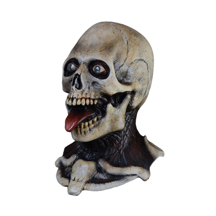 Left-side view of Party Time Skeleton