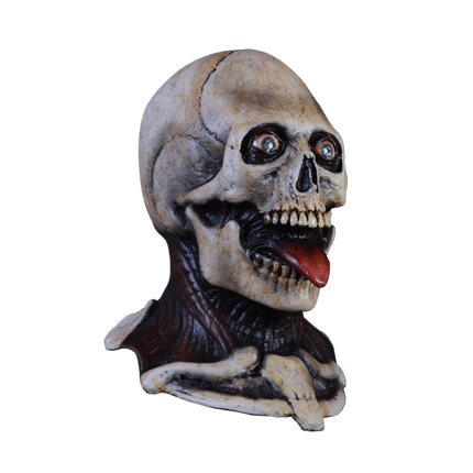 Right-side view of Party Time Skeleton