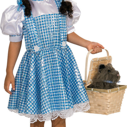 DOROTHY SEQUIN CHILD