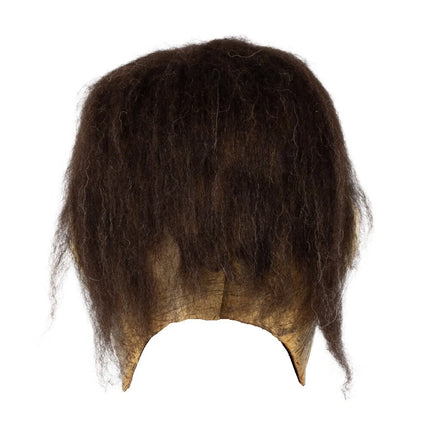 Lord Frank Frankenstein Mask