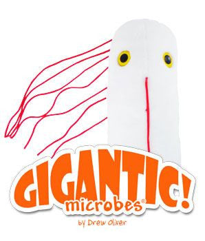 Gigantic Salmonella