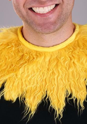 Dr. Seuss- Sam I Am Costume Kit- collar up close
