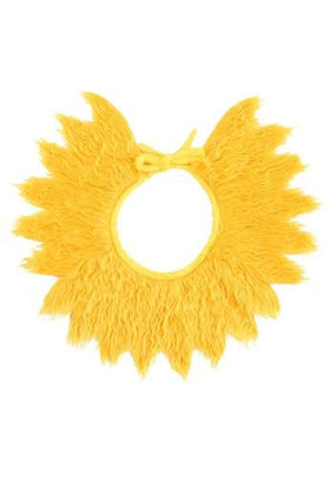 Dr. Seuss- Sam I Am Costume Kit- collar