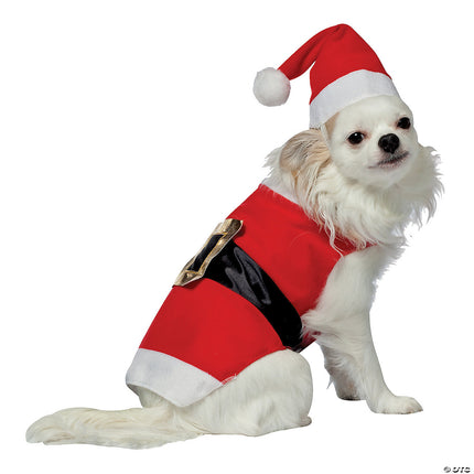 Santa Pet Costume- on small dog
