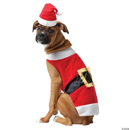 Santa Pet Costume- on large dog