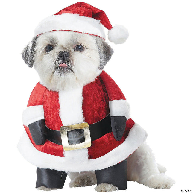 Santa Paws Pet Costume