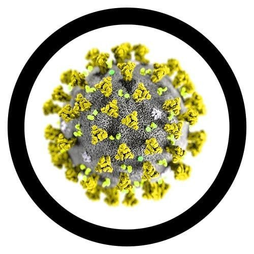 Covid Under Microscope