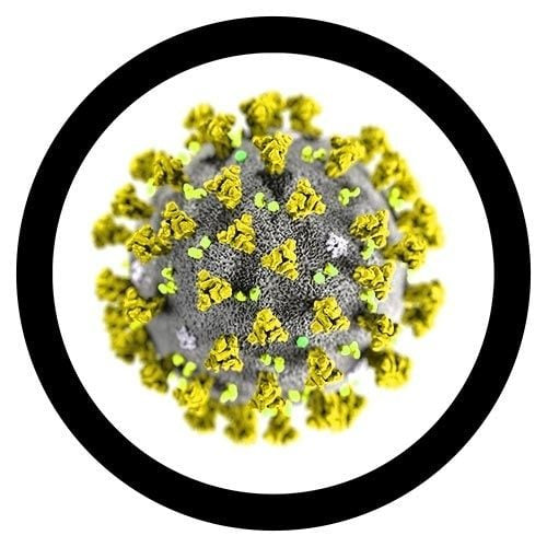 Covid Under Microscope