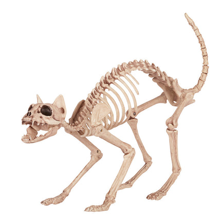 SKELETON KITTY BONEZ