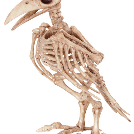SKELETON RAVEN