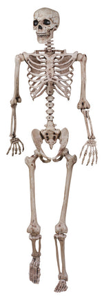 SKELETON POSEABLE