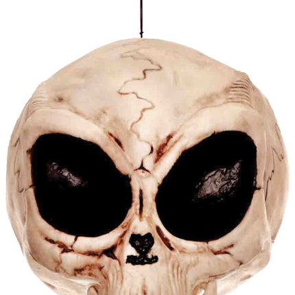 6" Plastic Alien Skull with moving jaw.