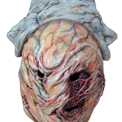 Front View of Silent Hill Nurse Deluxe Latex Mask