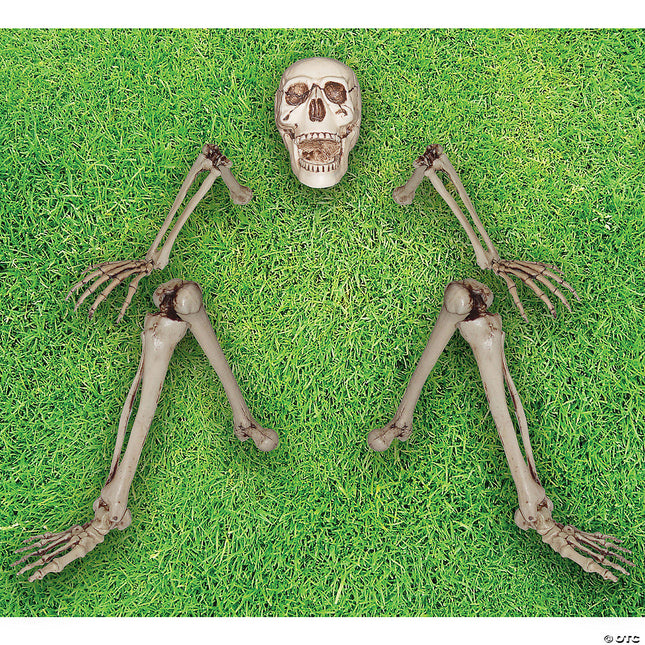 Skeleton Ground Breaker- on grass
