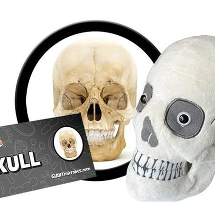 skull plushie with informational tag