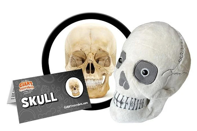 skull plushie with informational tag