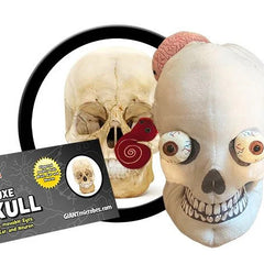 Deluxe Skull plushie with informational tag