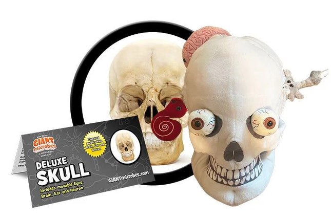 Deluxe Skull plushie with informational tag