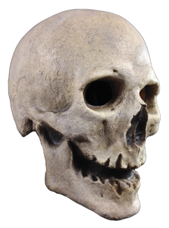 Right-side view of Antique Skull Mask