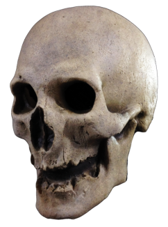 Left-side view of Antique Skull Mask