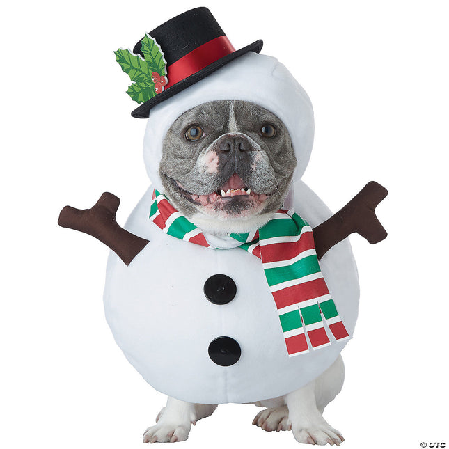 Snowman Pet Costume