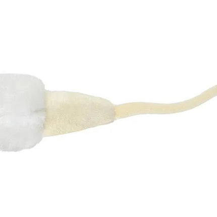 sperm cell bottom view