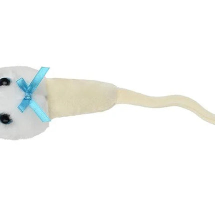sperm cell top view