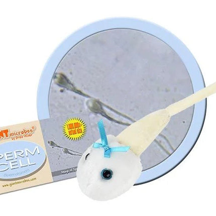 Sperm cell with informational tag