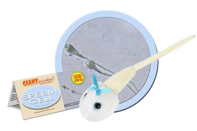 Sperm cell with informational tag