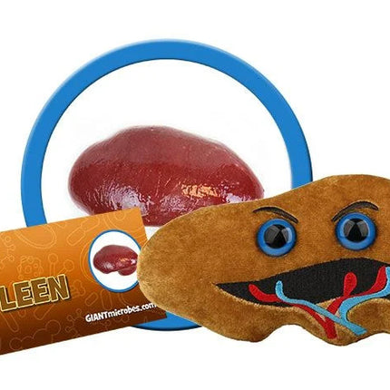 spleen plushie with informational tag