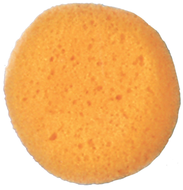 Cosmetic Sponge