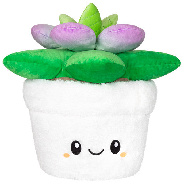 Squishable Succulent - Front View